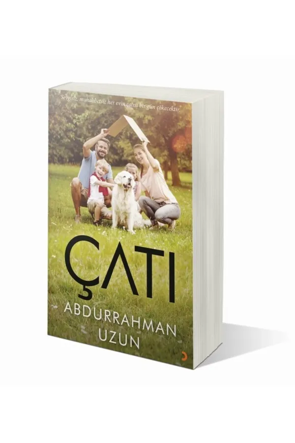 Çatı