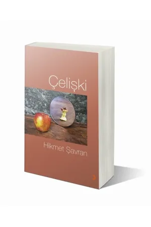 Çelişki