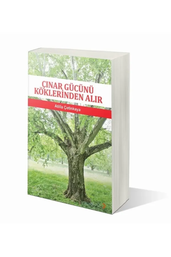 Çınar Gücünü Köklerinden Alır