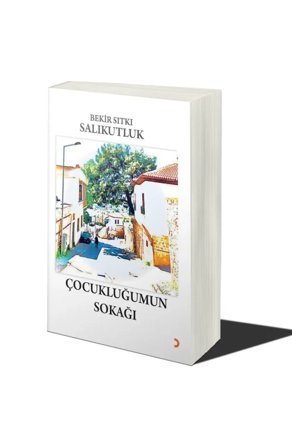 Çocukluğumun Sokağı