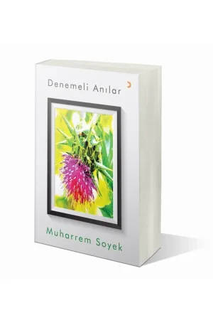 Denemeli Anılar