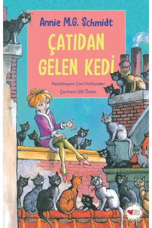 Çatıdan Gelen Kedi