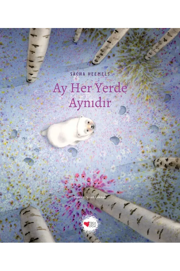 Ay Her Yerde Aynıdır