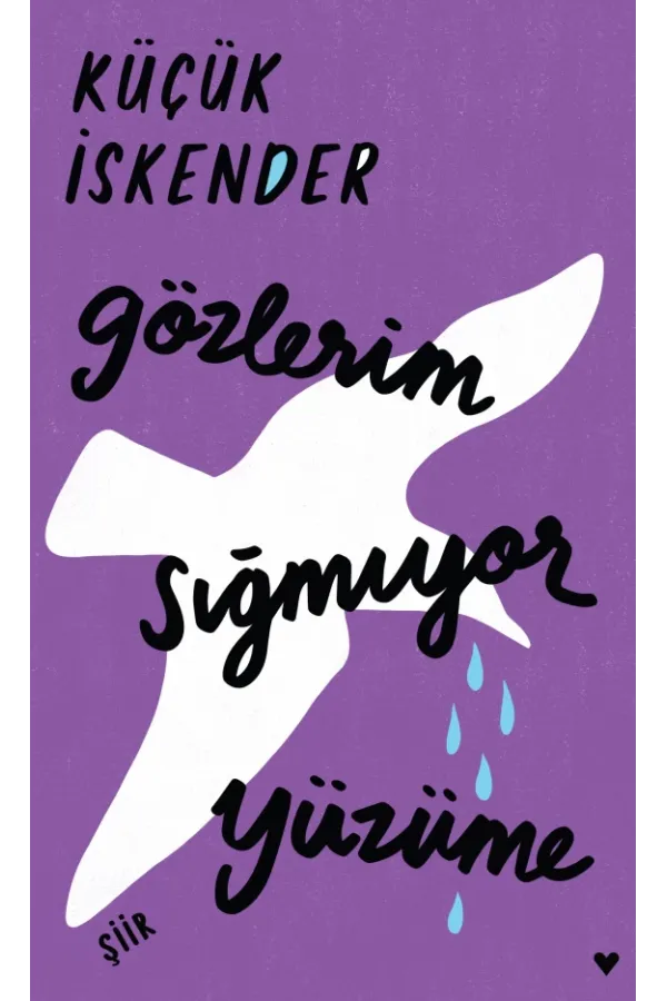 Gözlerim Sığmıyor Yüzüme (Ciltli Baskı)