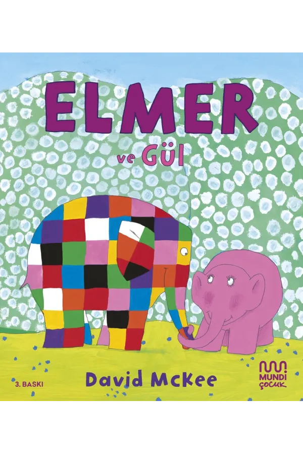 Elmer Ve Gül