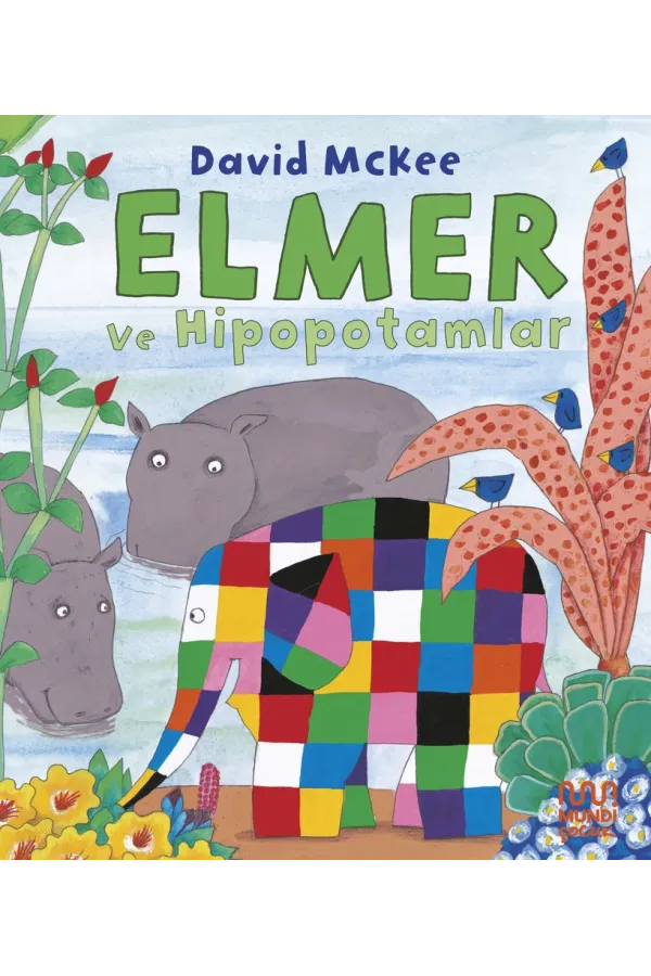 Elmer Ve Hipopotamlar