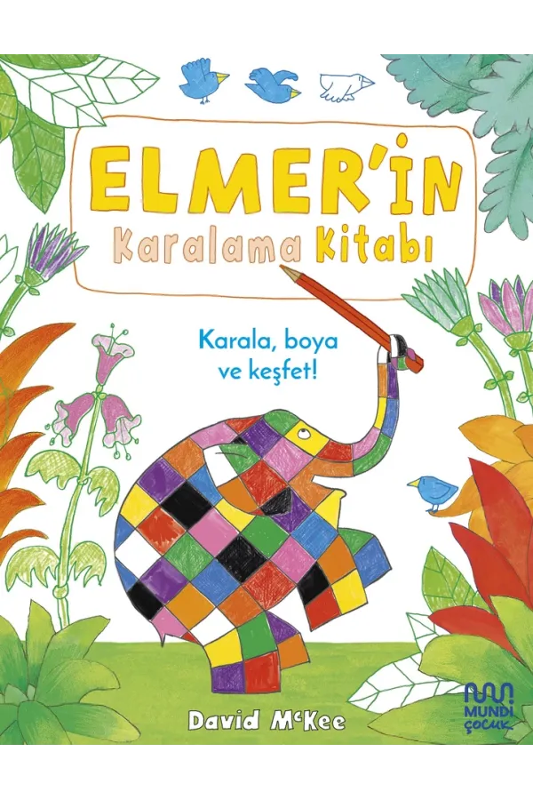 Elmer'İn Karalama Kitabı
