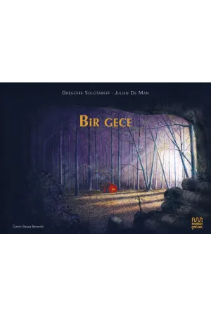 Bir Gece