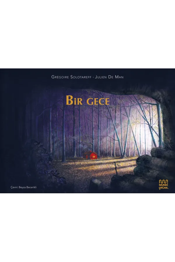 Bir Gece