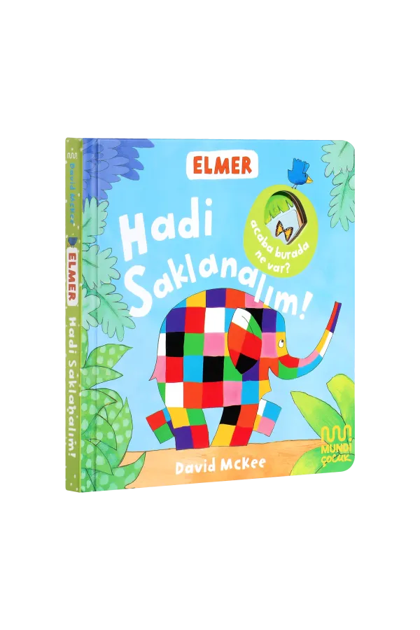 Elmer Kütüphanesi Hadi Saklanalım!