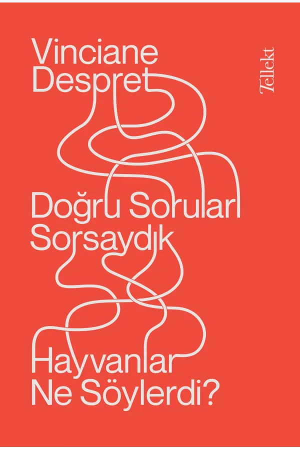 Doğru Soruları Sorsaydık Hayvanlar Ne Söylerdi?