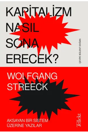 Kapitalizm Nasıl Sona Erecek? // Aksayan Bir Sistem Üzerine Yazılar