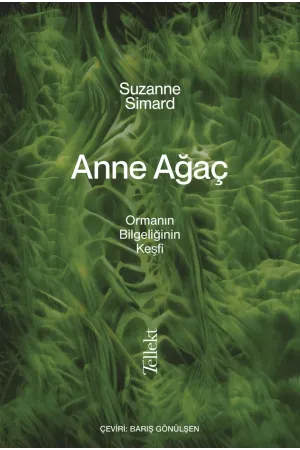 Anne Ağaç