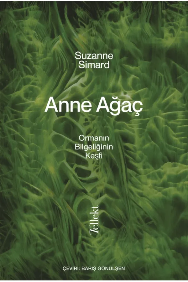 Anne Ağaç