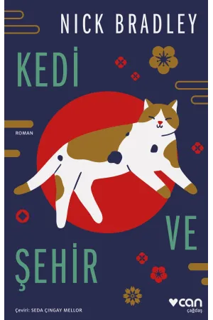 Kedi Ve Şehir
