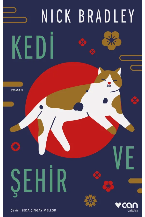 Kedi Ve Şehir