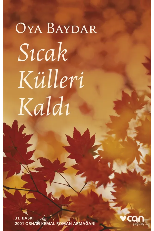 Sıcak Külleri Kaldı (Yeni Kapak)