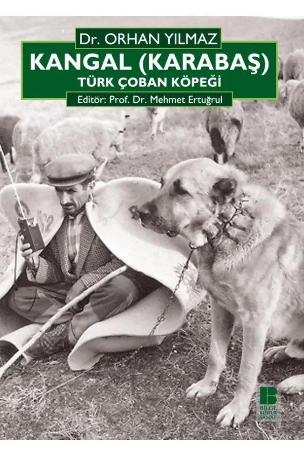 Kangal Karabaş Türk Çoban Köpeği