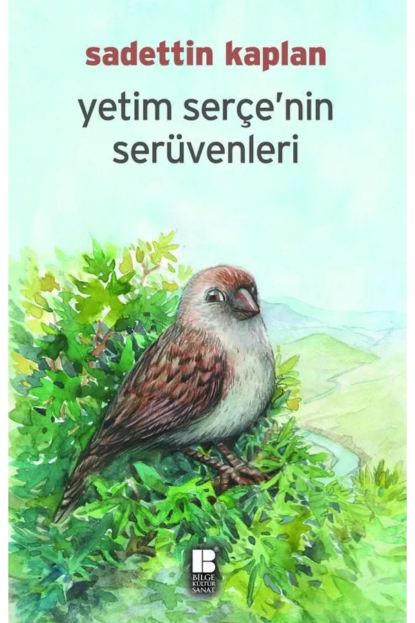 Yetim Serçenin Serüvenleri