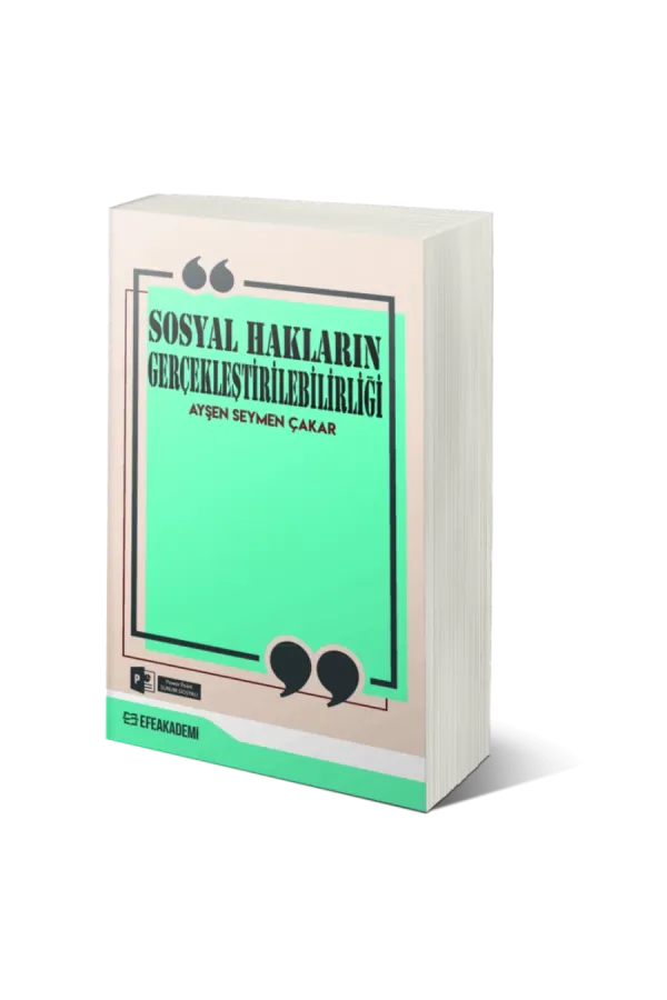 Sosyal Hakların Gerçekleştirilebilirliği