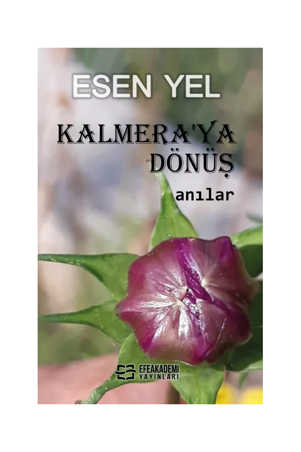 Kalmera'Ya Dönüş