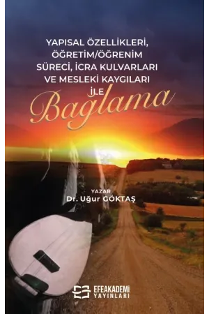 Yapısal Özellikleri, Öğretim/Öğrenim Süreci, İcra Kulvarları Ve Mesleki Kaygıları İle Bağlama