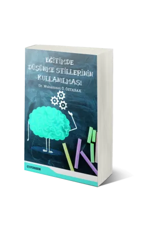 Eğitimde Düşünme Stillerinin Kullanılması