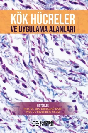 Kök Hücreler Ve Uygulama Alanları