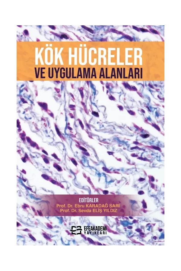 Kök Hücreler Ve Uygulama Alanları