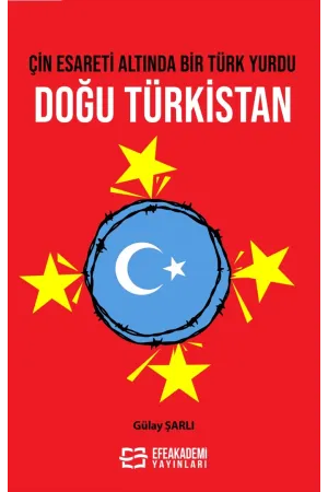 Çin Esareti Altında Bir Türk Yurdu: Doğu Türkistan