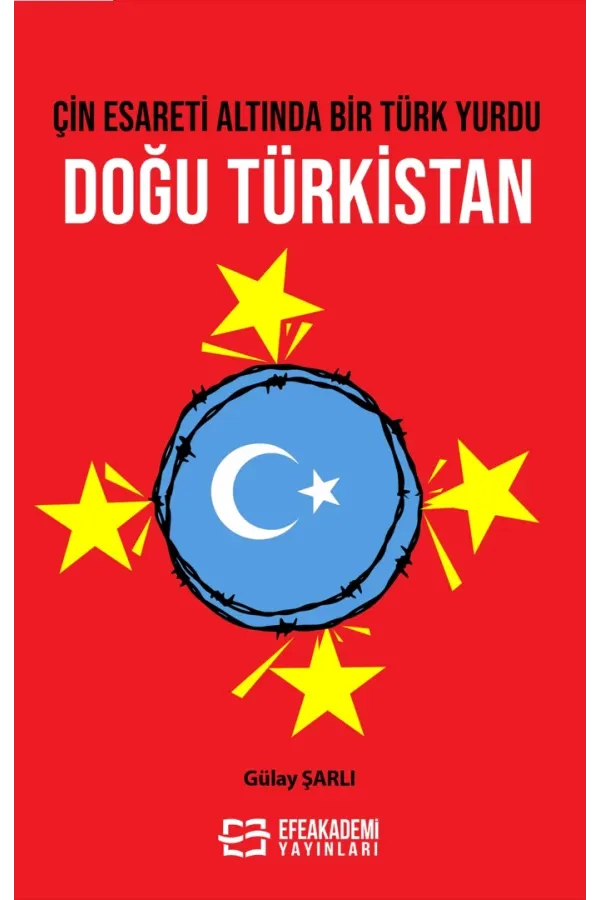 Çin Esareti Altında Bir Türk Yurdu: Doğu Türkistan