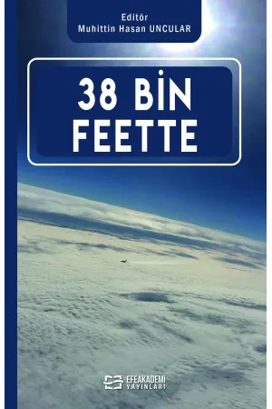 38 Bin Feette