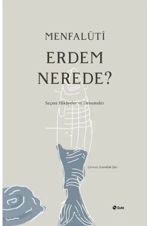 Diğer Edebi Türler