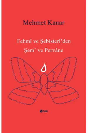 Diğer Edebi Türler