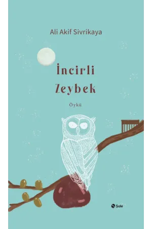 Diğer Edebi Türler