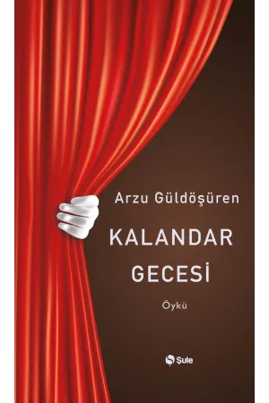 Diğer Edebi Türler