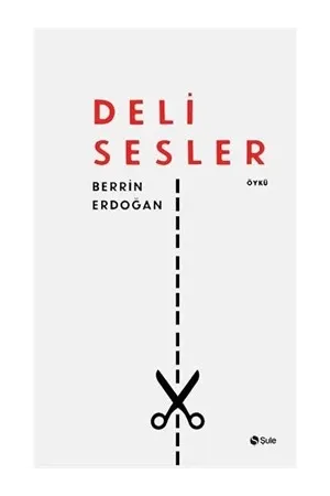 Diğer Edebi Türler