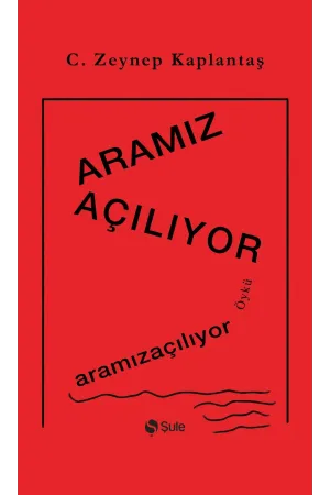 Diğer Edebi Türler