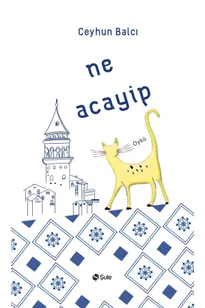 Diğer Edebi Türler