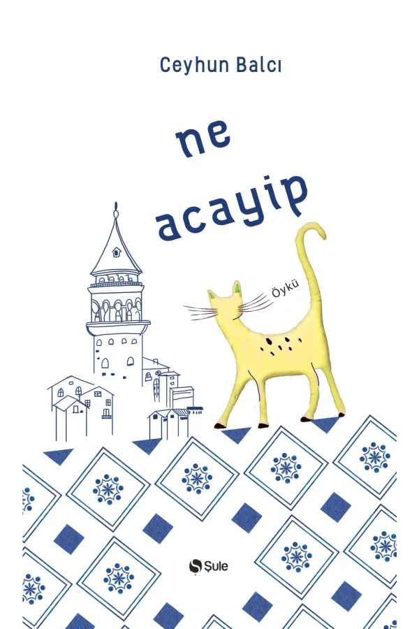 Ne Acayip