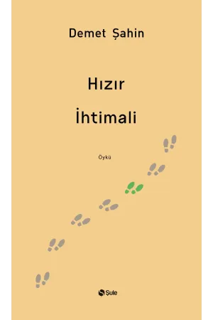 Diğer Edebi Türler