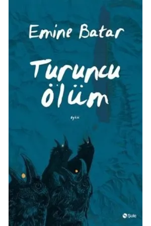 Diğer Edebi Türler