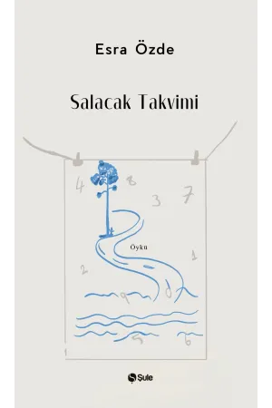 Diğer Edebi Türler