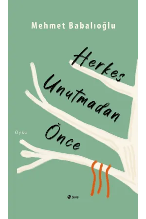 Diğer Edebi Türler