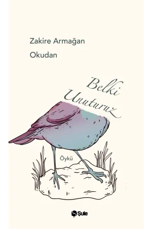 Belki Unuturuz
