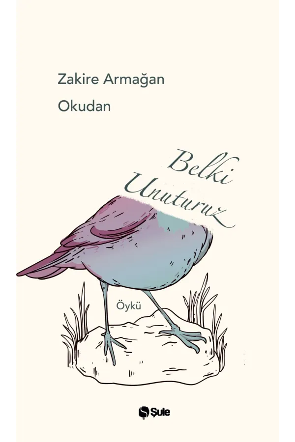 Belki Unuturuz