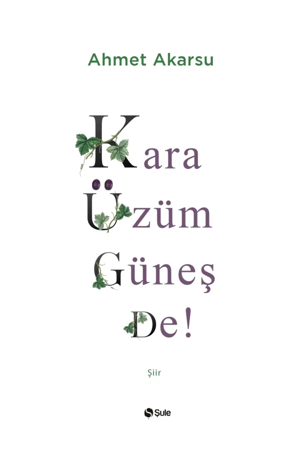 Kara Üzüm Güneş De