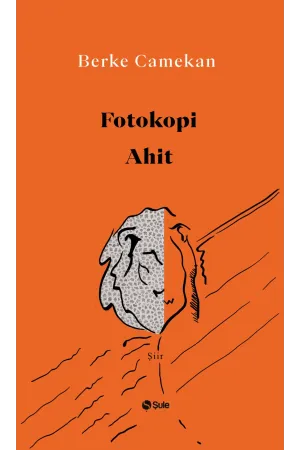 Şiir