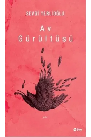 Av Gürültüsü