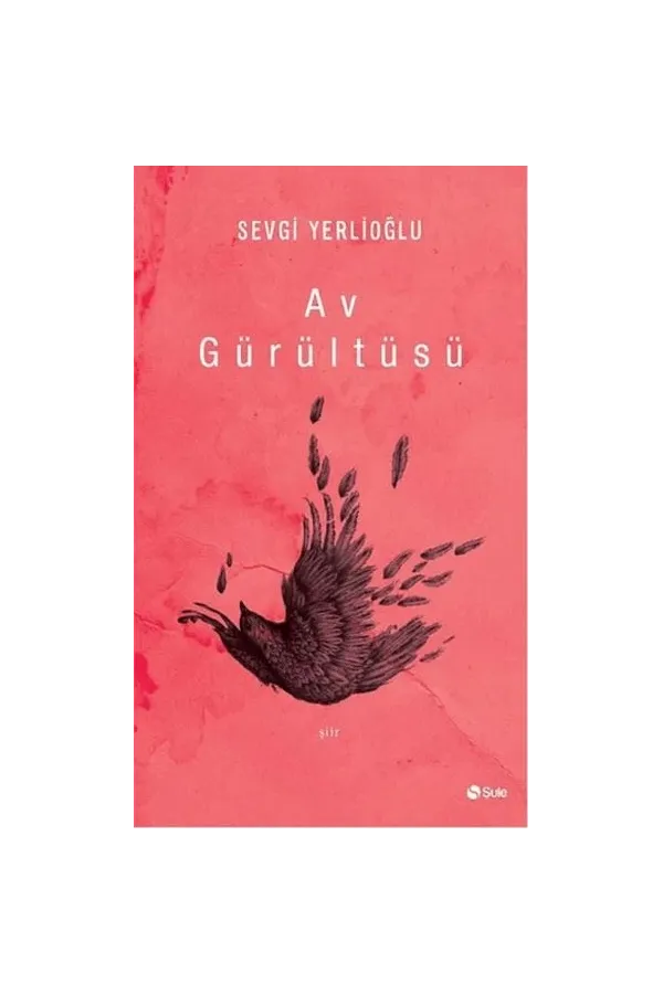 Av Gürültüsü